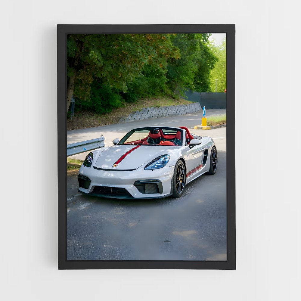 Poster araignée fascinante – affiche Porsche (vue 2)